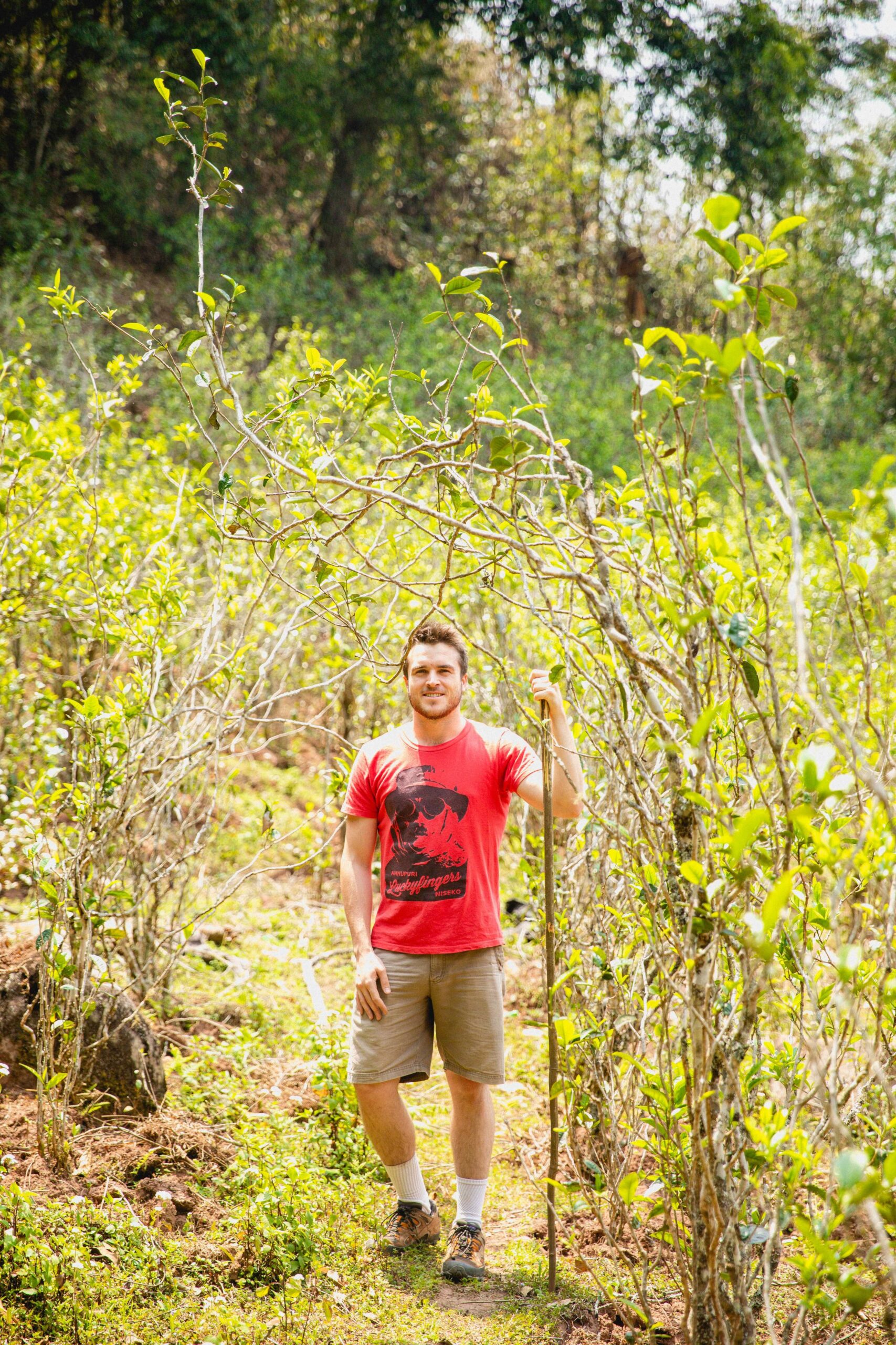 A student stands in a forested path