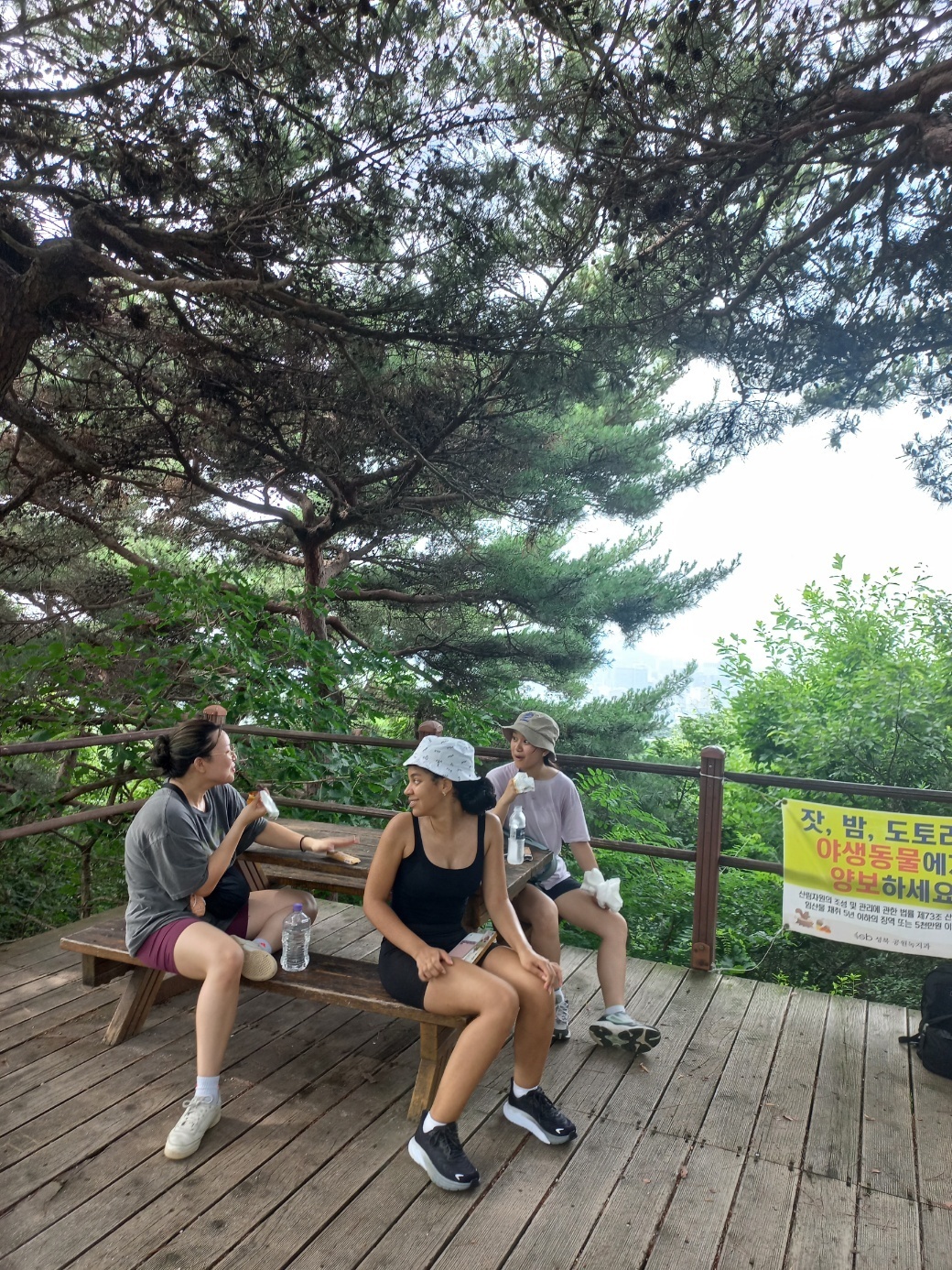 Three students sit at a picnic table under the trees